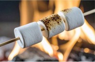 BBQといったら焼きマシュマロ